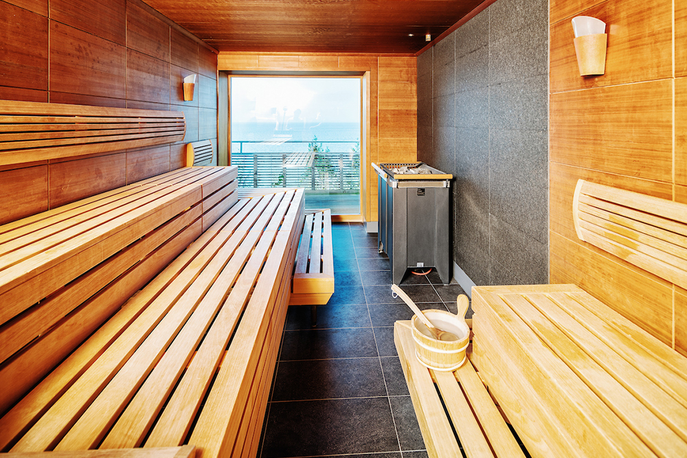 Modern Finnish sauna with a view of Lake Constance in the wellness area